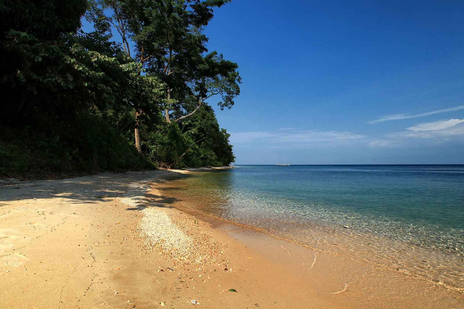 Gombe Forest Lodge on Lake Tanganyika shore
