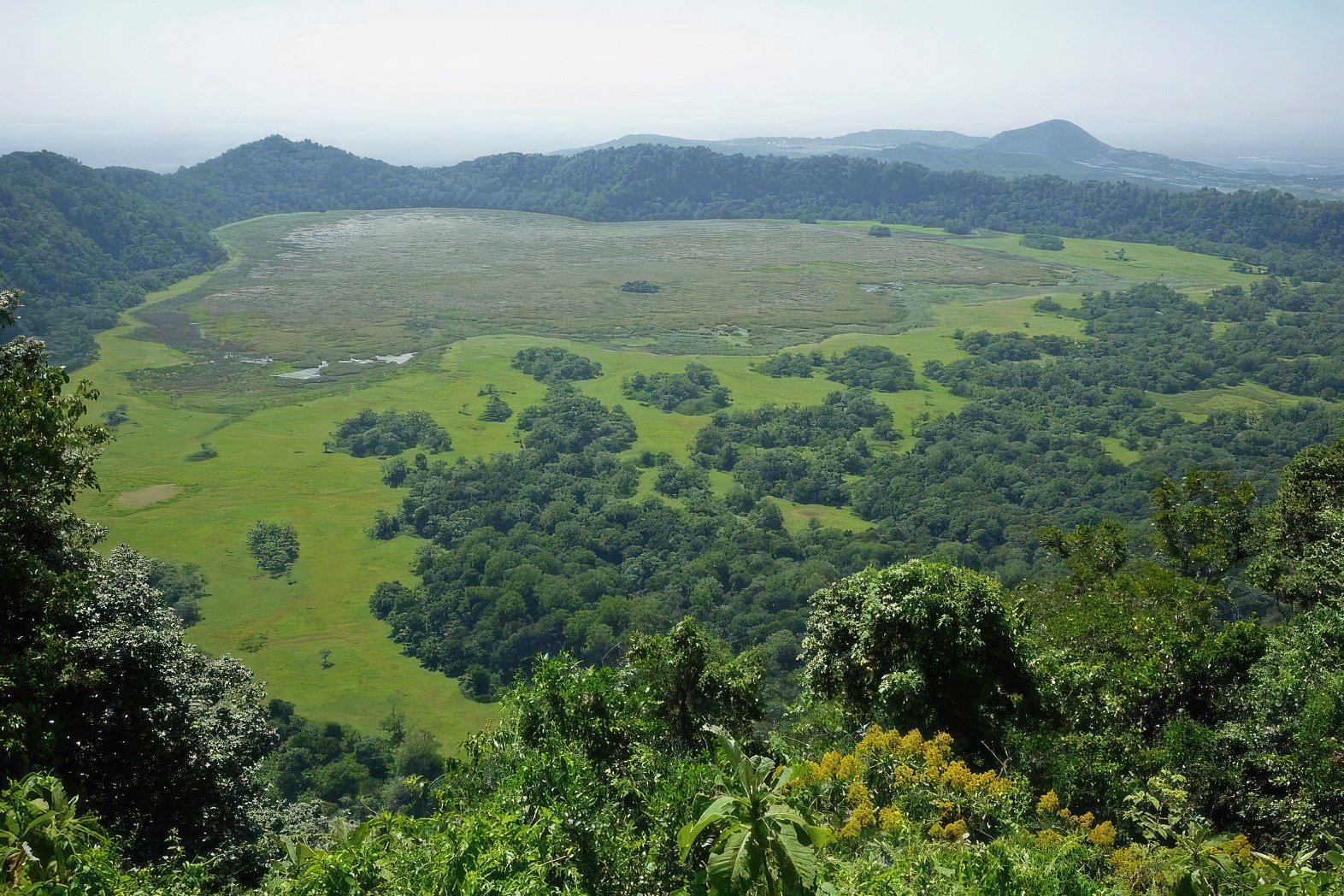 The forested rim and floor of Ngurdoto Crater, Arusha's little Ngorongoro