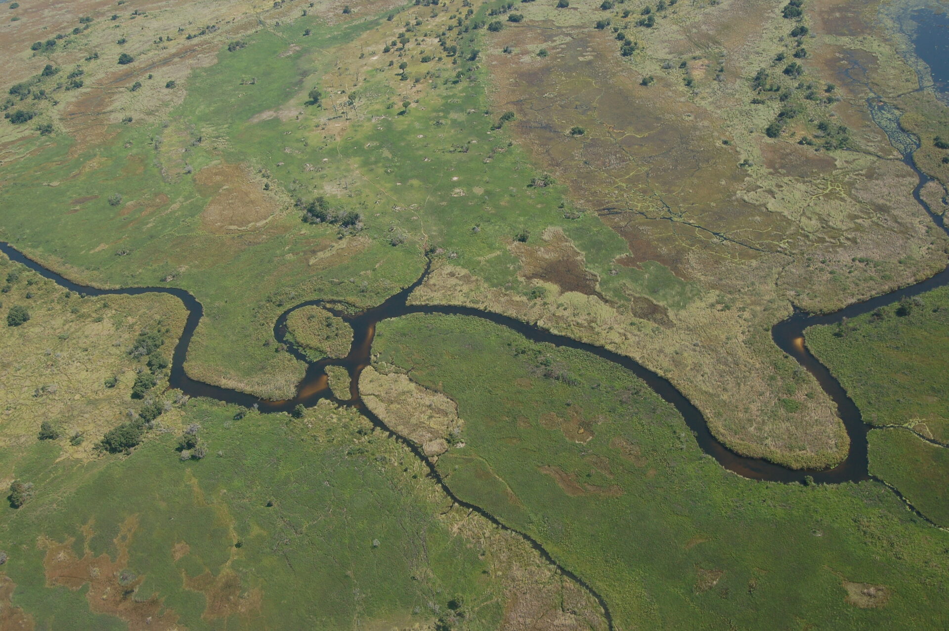 Aerial view of the Okavango Delta's winding waterways and islands, the heart of a Botswana safari
