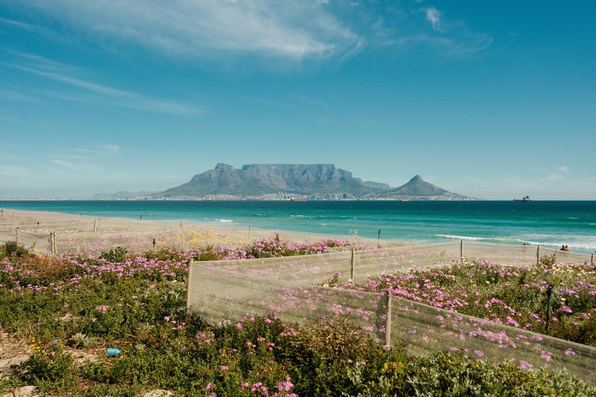South Africa Honeymoon Safari: Cape, Winelands & Big Five — Beyond Africa Safaris