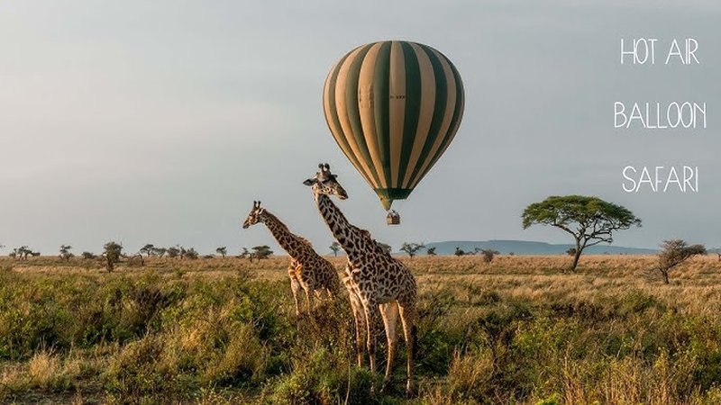 Champagne bush breakfast laid out under an acacia tree after a balloon flight