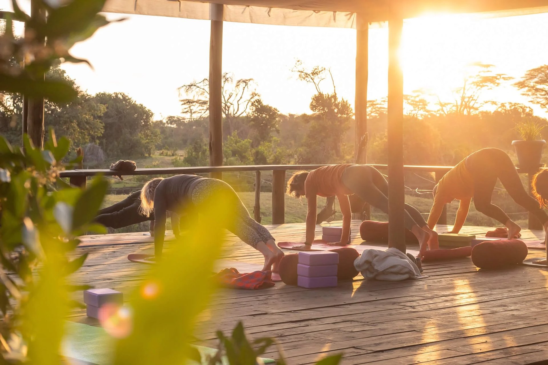 Peak Season vs Shoulder Season Safari Compared — Beyond Africa Safaris