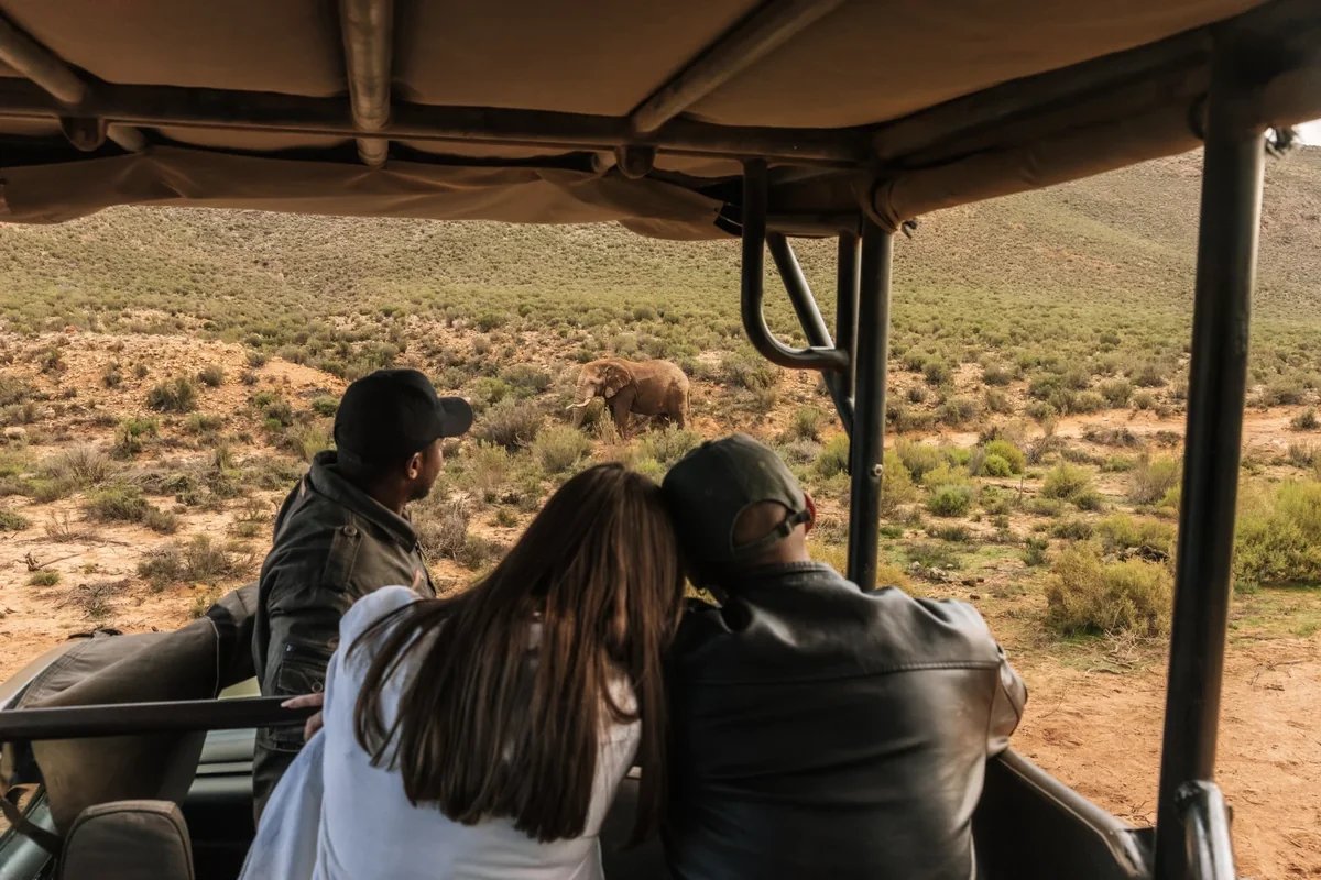 Open-vehicle game drive in winter at Aquila