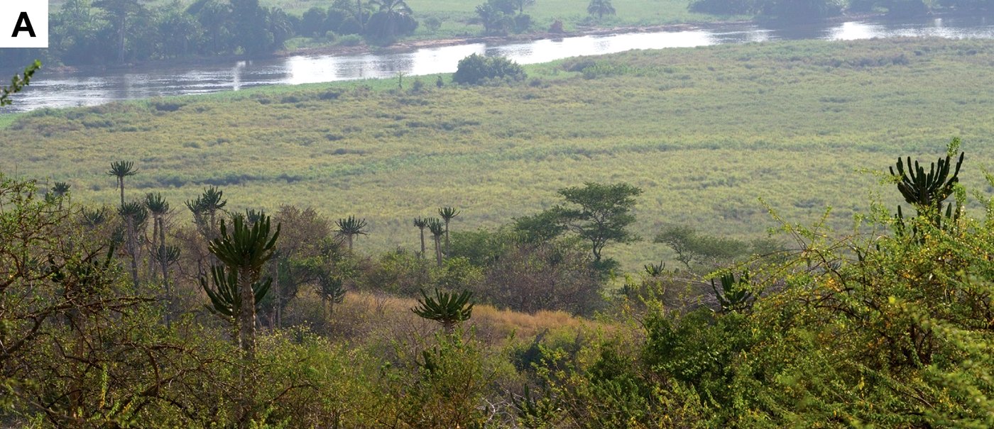 Kwanza River and bordering savanna, Angola