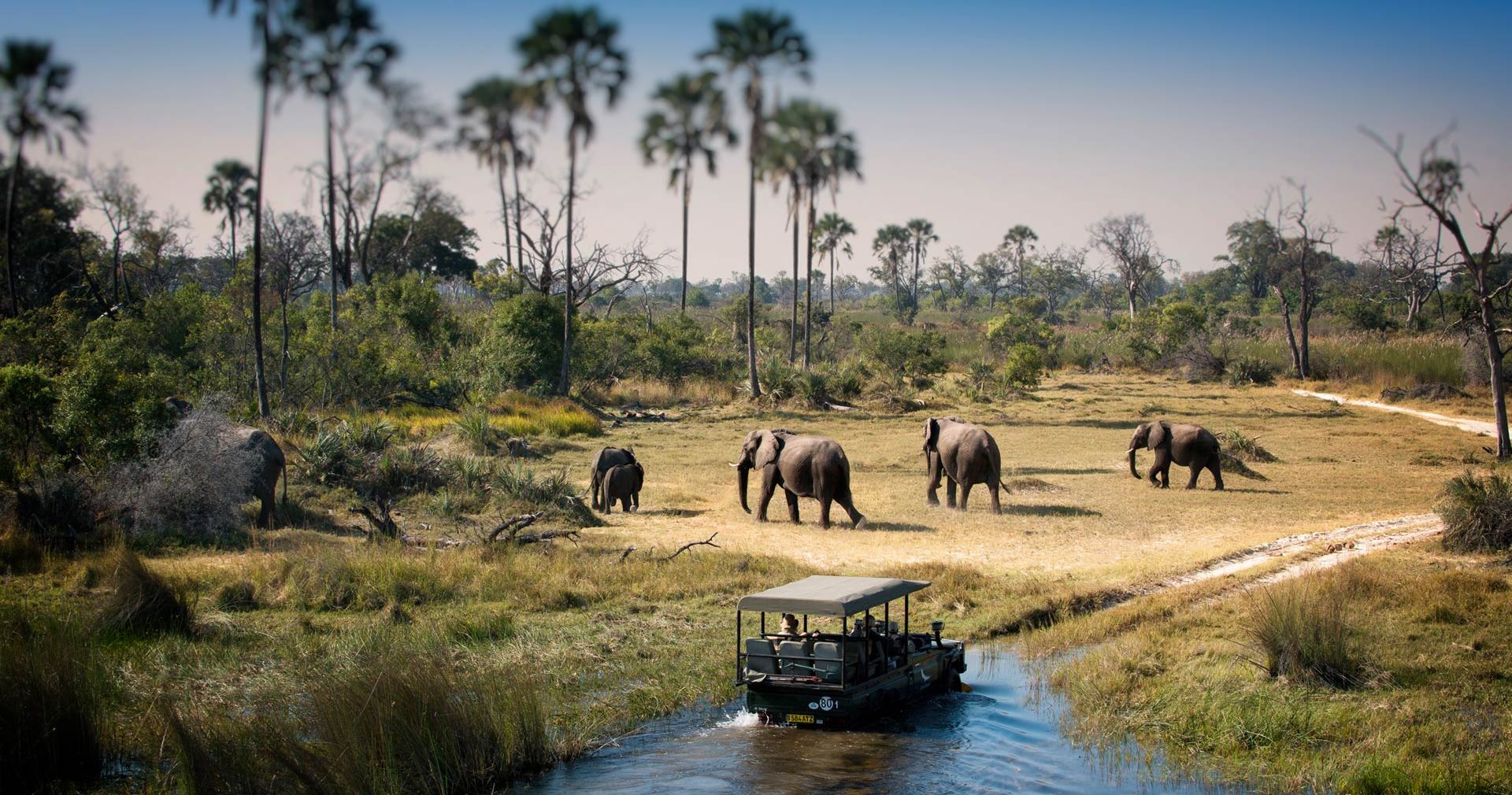 Chobe Bakwena Lodge sundowner deck overlooking the Chobe River