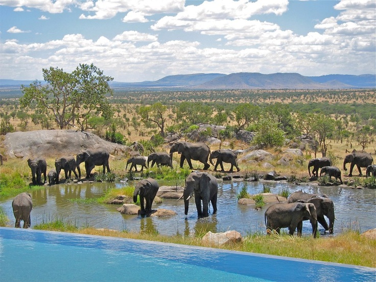 Four Seasons Serengeti — suite interior and private deck