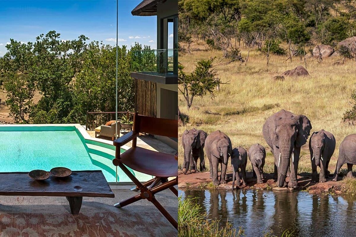 Four Seasons Safari Lodge Serengeti infinity pool with elephants at the waterhole below