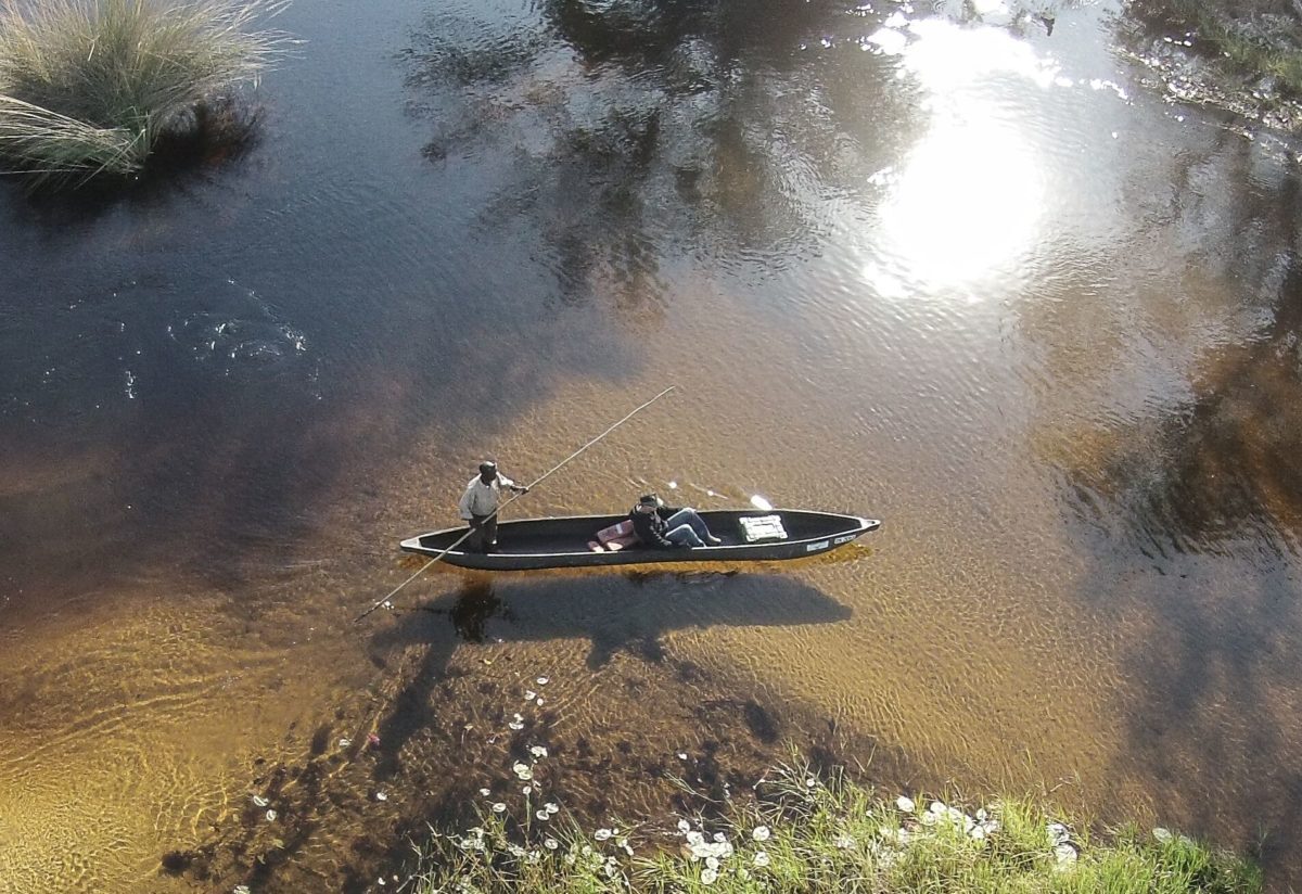 Mokoro canoe gliding through channels near Gunn's Camp