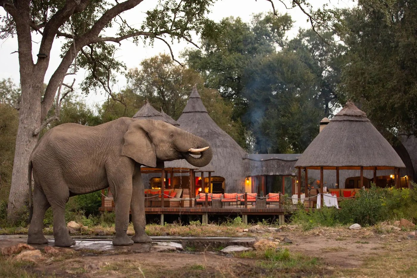 Hamiltons · Hoyo-Hoyo · Imbali — guest suite and living space