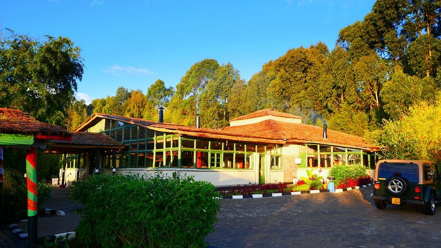Le Bambou Gorilla Lodge cottages near Volcanoes National Park