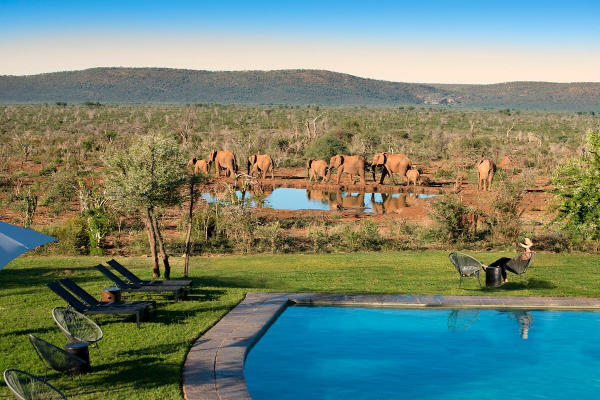 Infinity pool overlooking the bushveld at a luxury Madikwe lodge