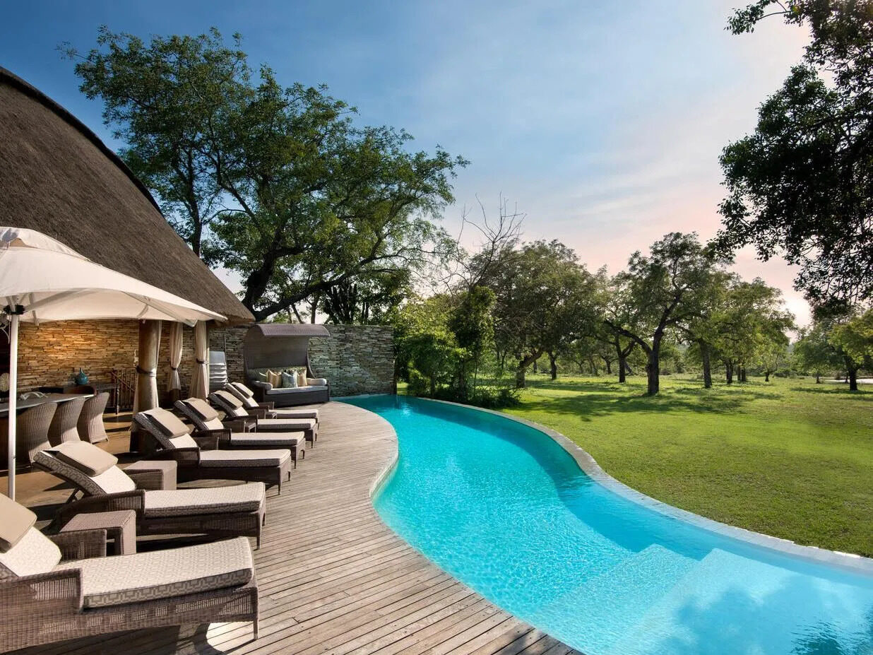 Main pool overlooking the Timbavati bush at Makanyi Private Game Lodge