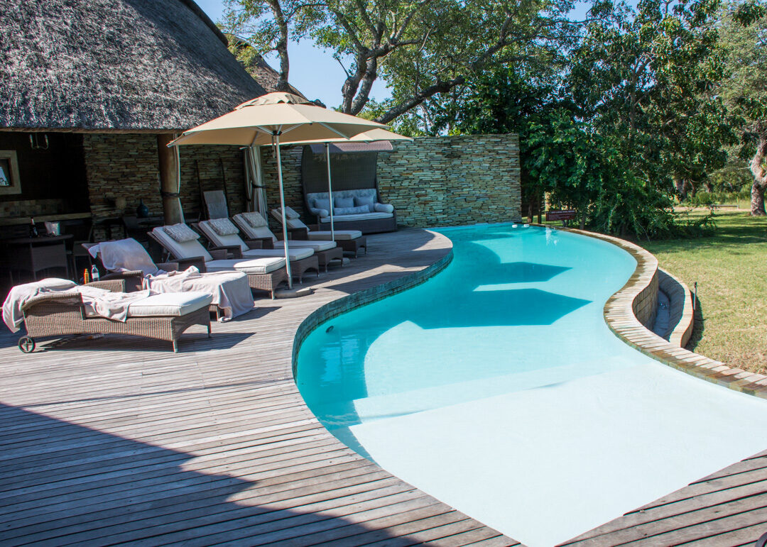 Curved pool and timber deck at Makanyi Private Game Lodge