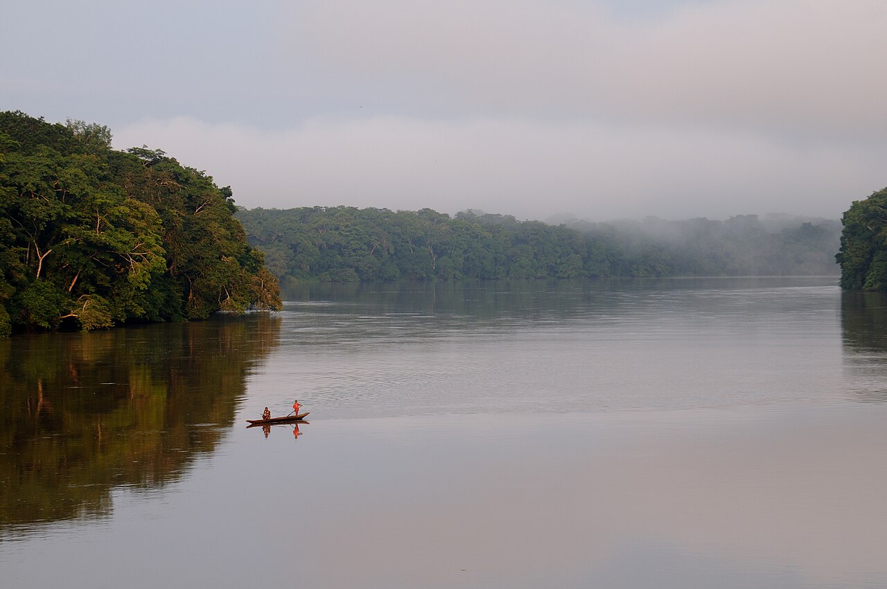 Pristine river flowing through Nouabalé-Ndoki rainforest