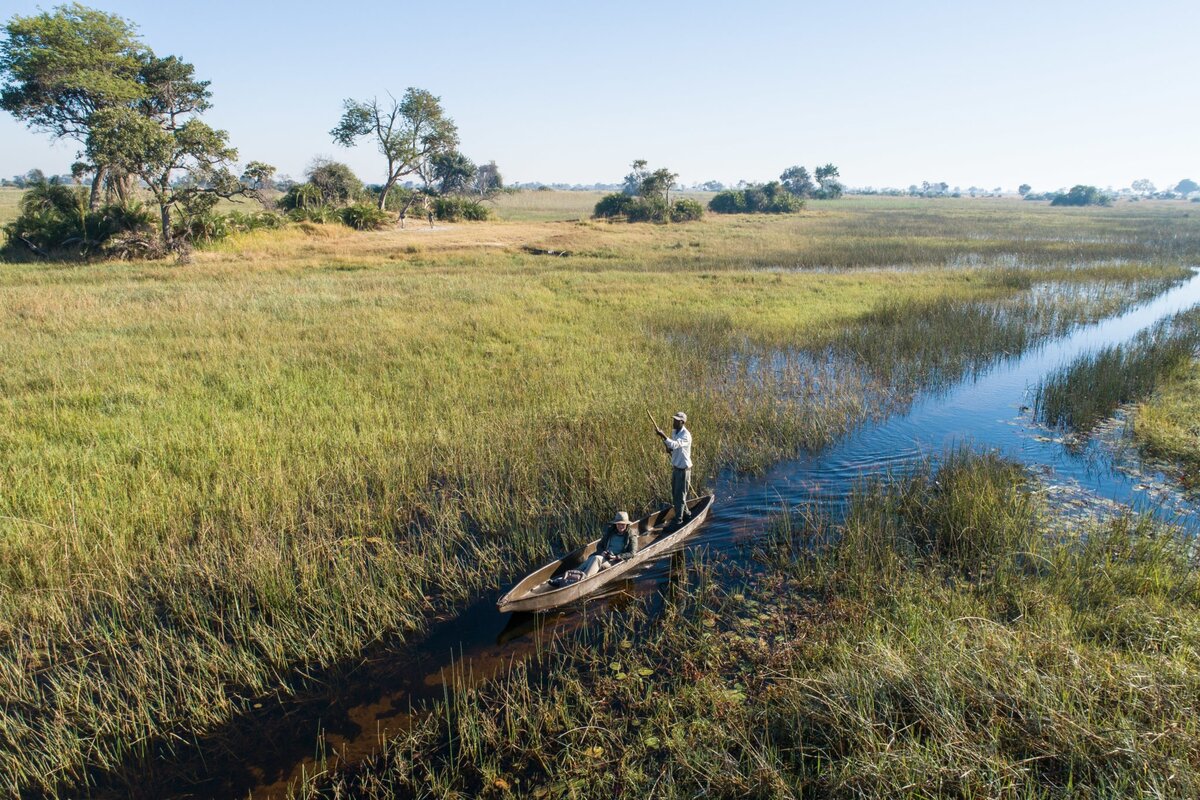 Sango Safari Camp guided game drive along the Khwai wildlife corridor