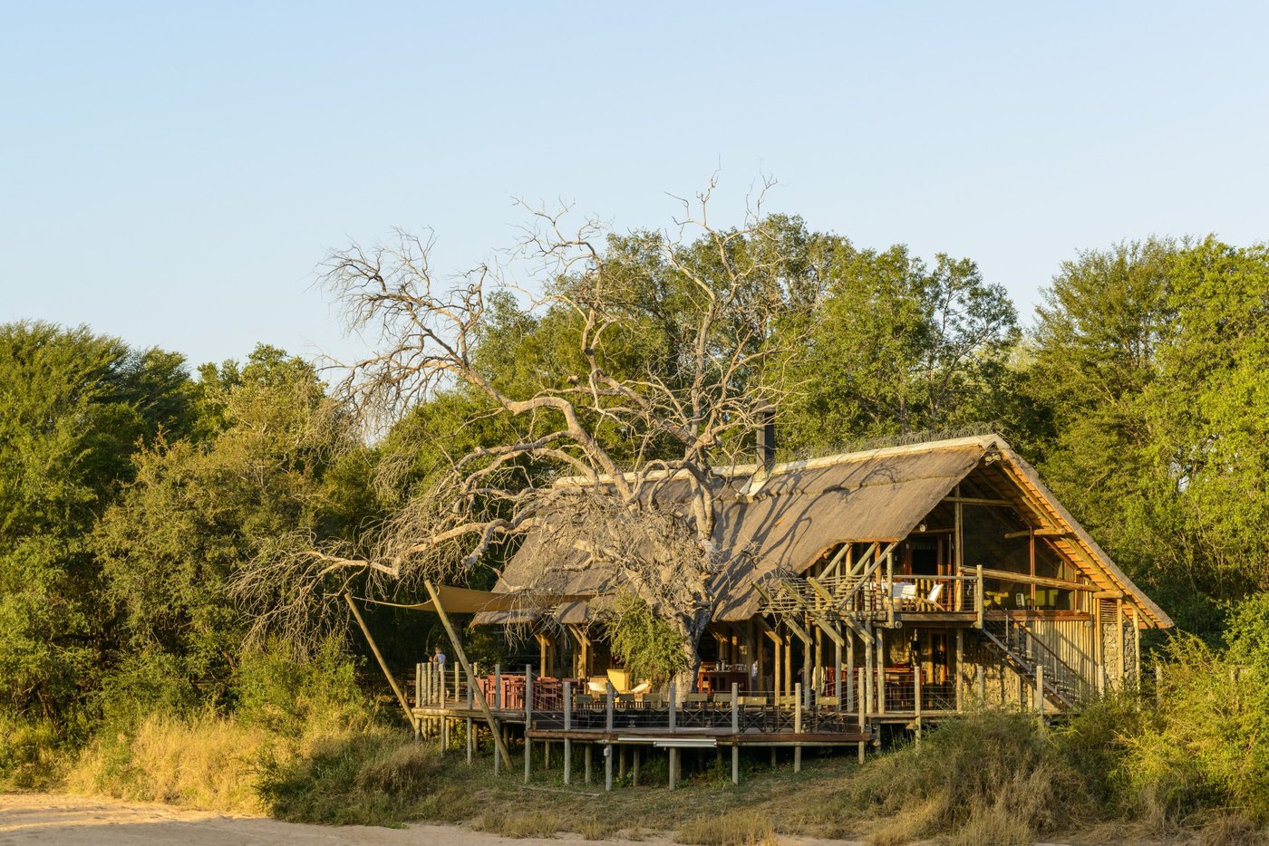 Rhino Post Safari Lodge elevated deck in the Klaserie Private Nature Reserve