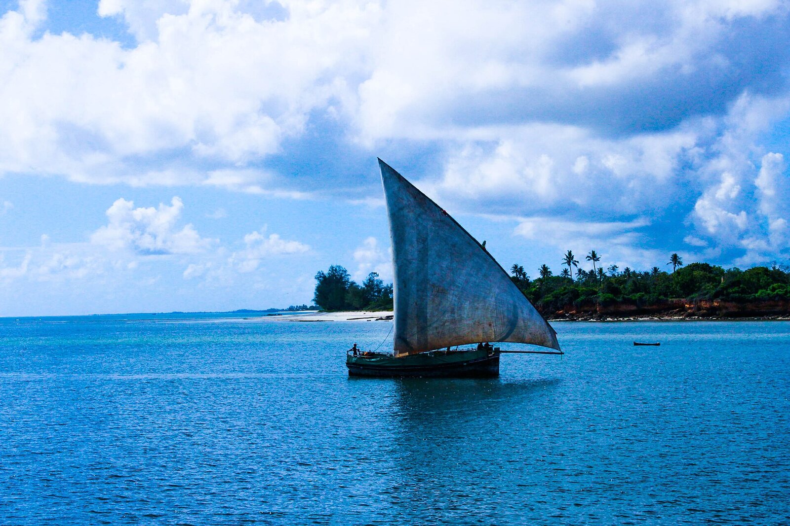 The Indian Ocean beachfront setting of Saadani Safari Lodge, with a traditional dhow sailing past a palm-fringed shore