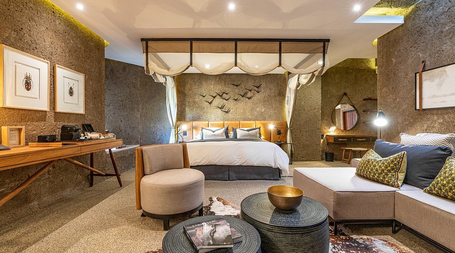 Luxury Sabi Sands lodge suite with contemporary design and bush views