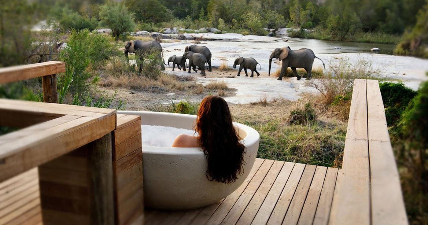 Sabi Sands lodge pool deck overlooking elephants at the waterhole