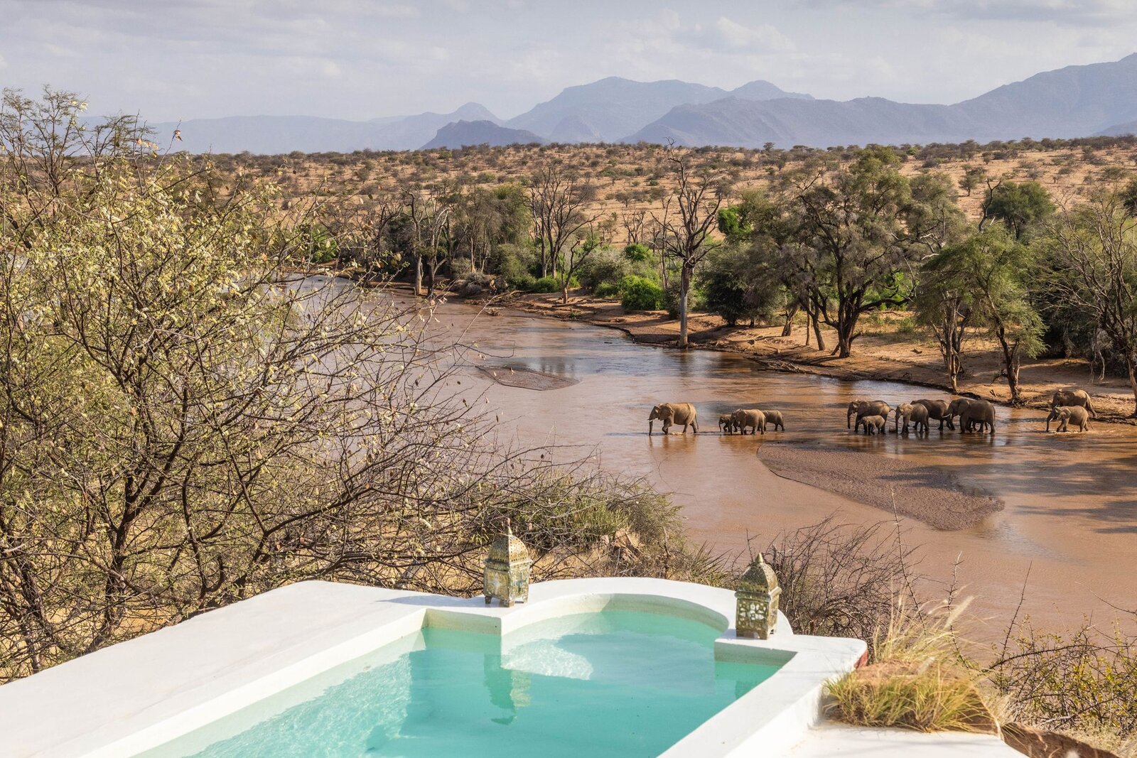 Sasaab Lodge infinity pool cantilevered over the Kalama Conservancy at sunset, Samburu, Kenya
