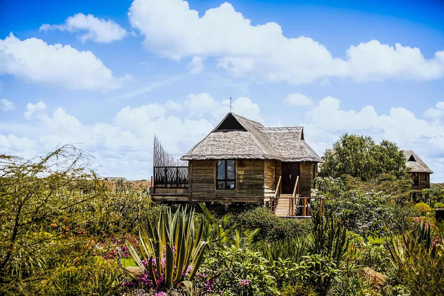 Segera Retreat — plunge pool and lounge area
