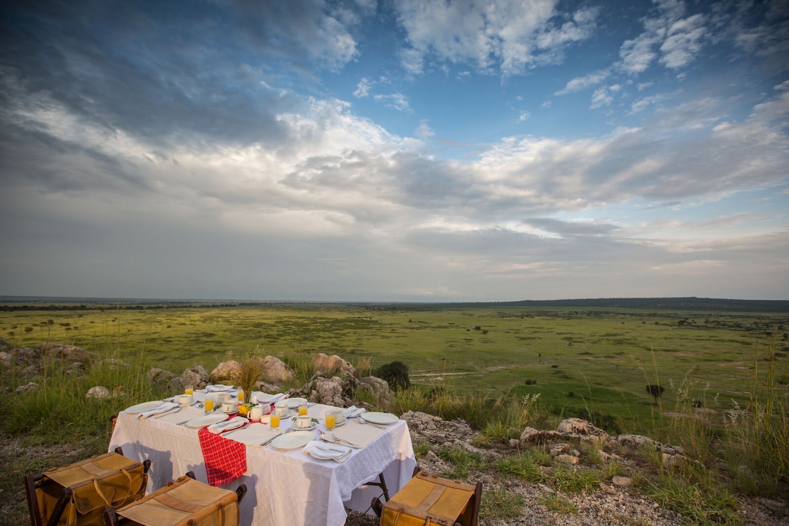 The treehouse deck at Tarangire Treetops built around a baobab tree in Tarangire National Park, Tanzania
