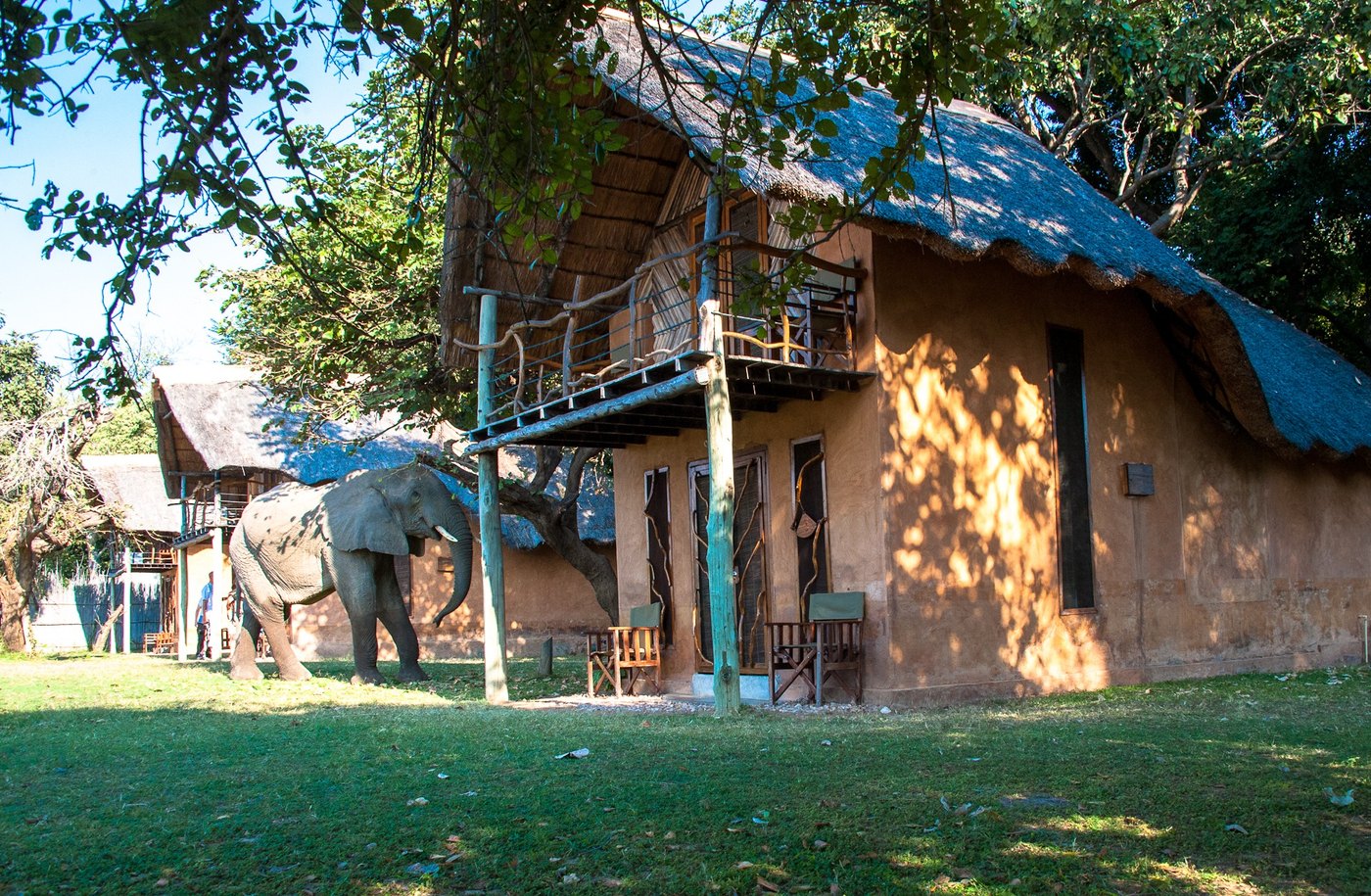 Track and Trail River Camp game drive in South Luangwa