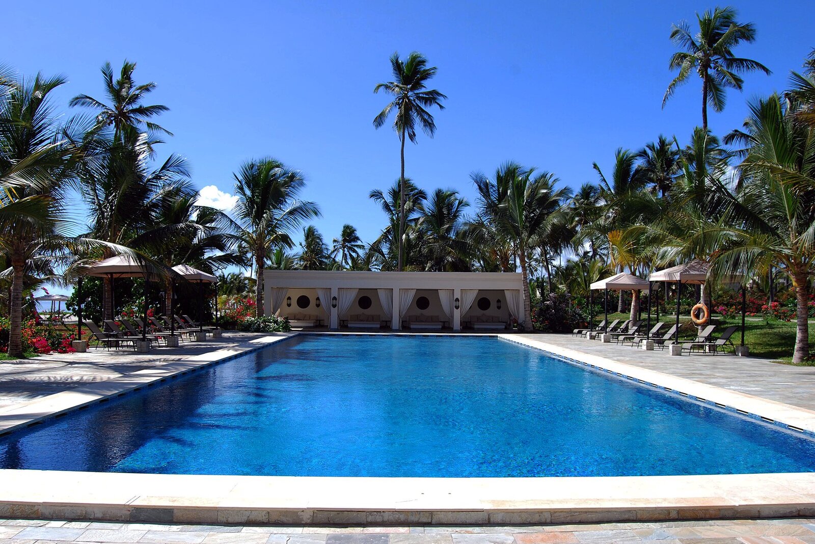 A palm-fringed resort pool at a Zanzibar beach hotel