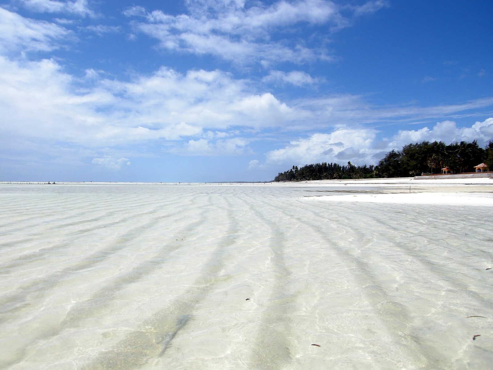 Rippled sand at low tide on Paje beach, Zanzibar
