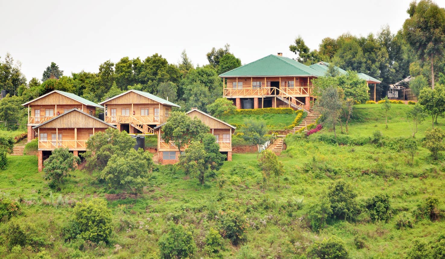 Bwindi Lodge