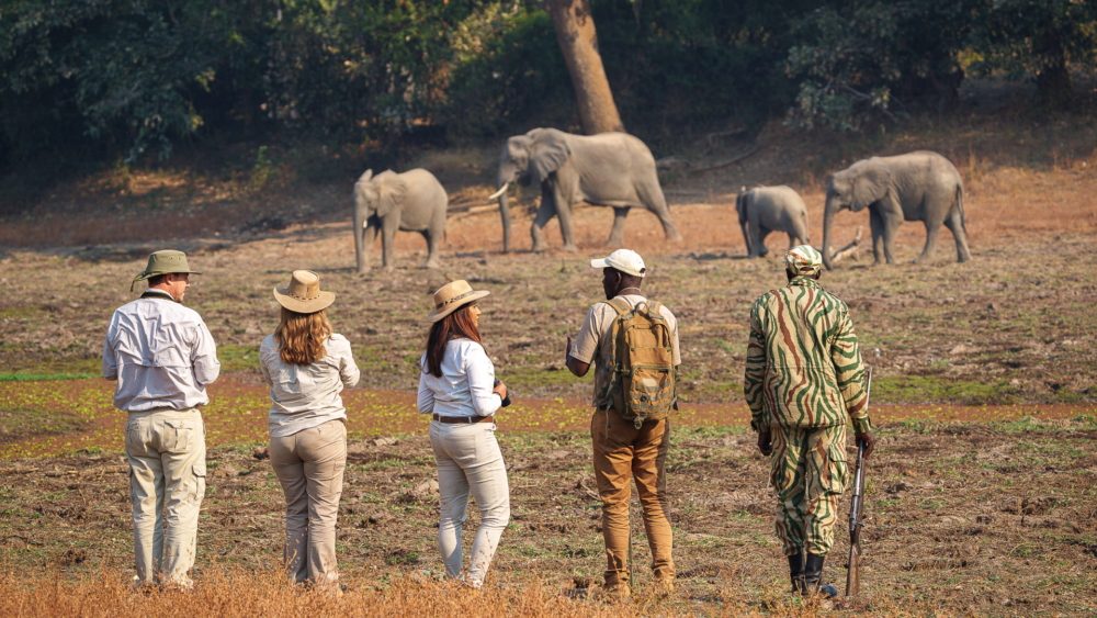 Nsolo Bush Camp