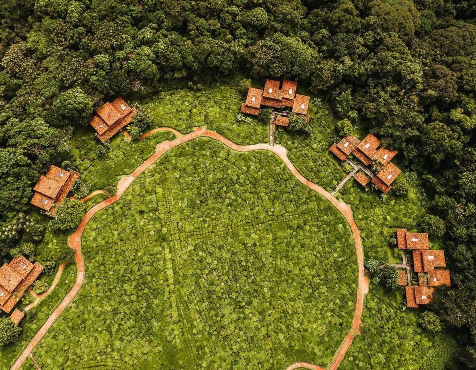 One&Only Nyungwe House