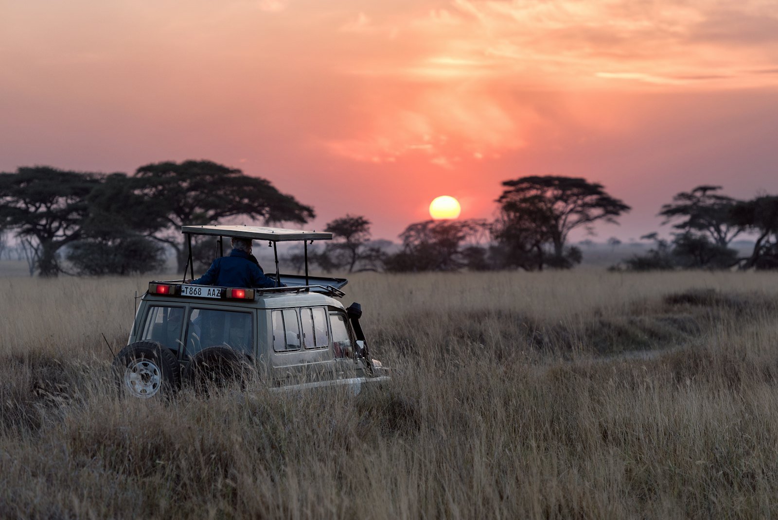 Golden-hour sundowner light over the plains at a Mikumi tented camp