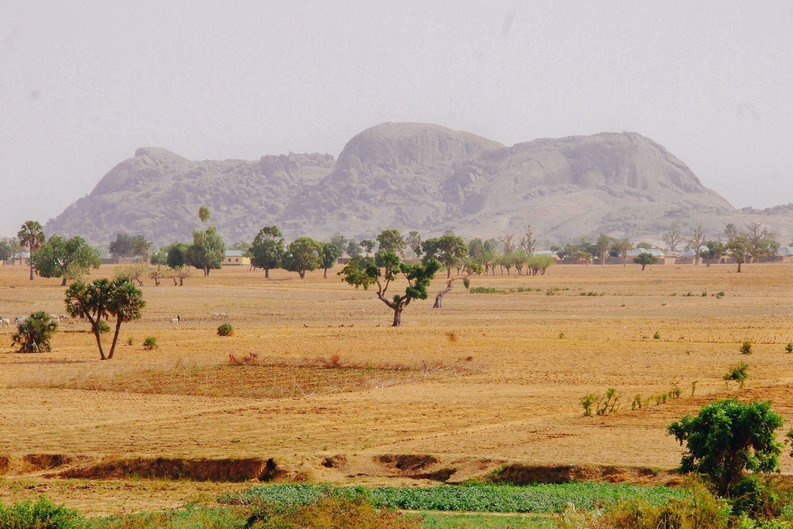 Sweeping views of the Mkata floodplain from premium Mikumi lodges