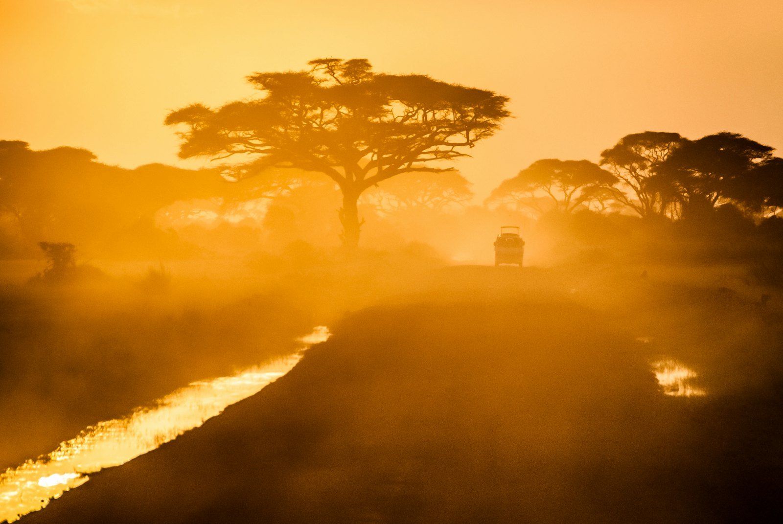 Authentic bush views from mid-range Mikumi bandas