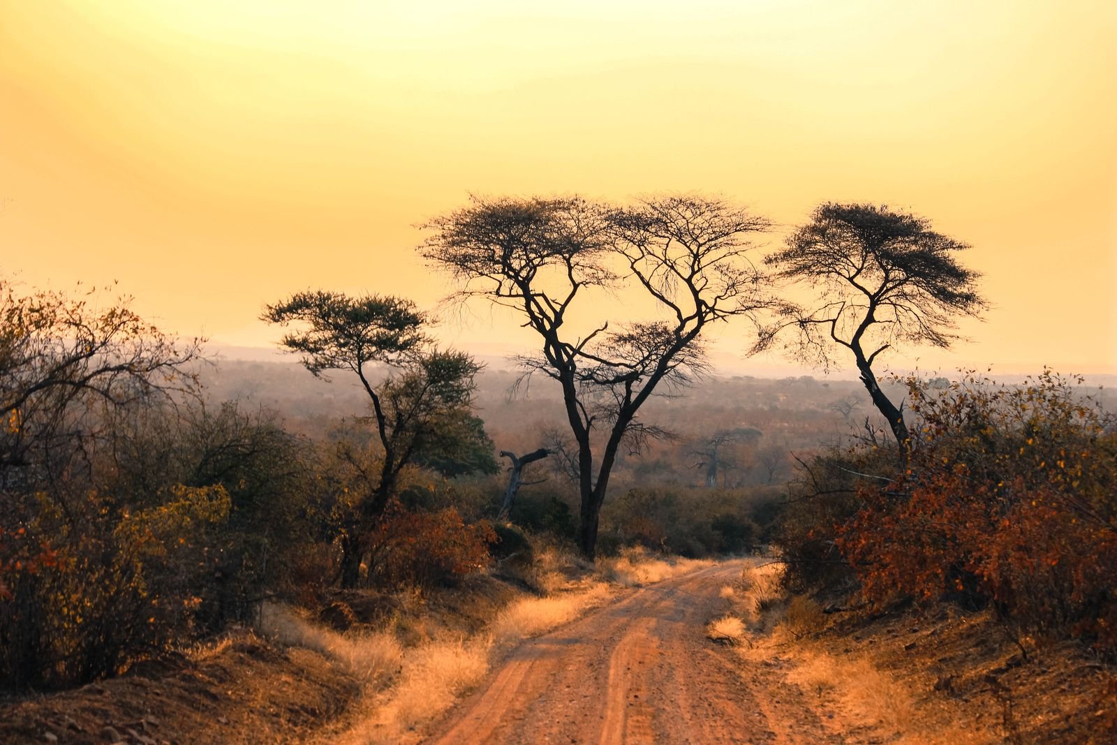 Sunset over the open plains near budget-friendly Mikumi camps