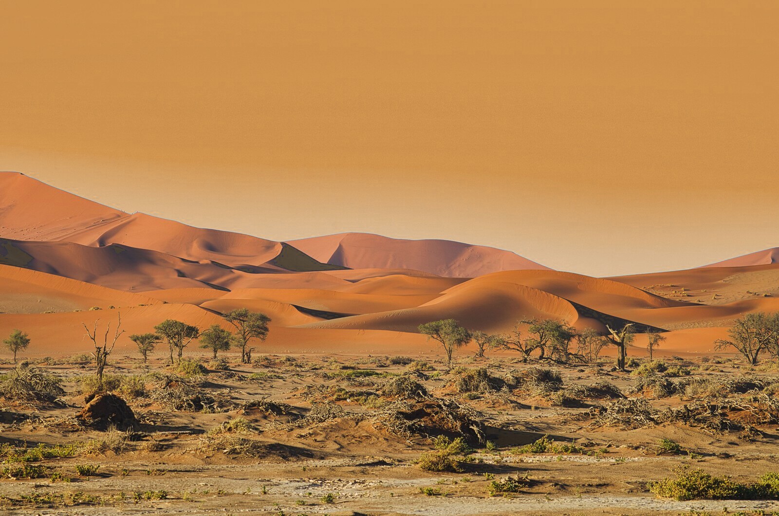 Namibia safari landscape