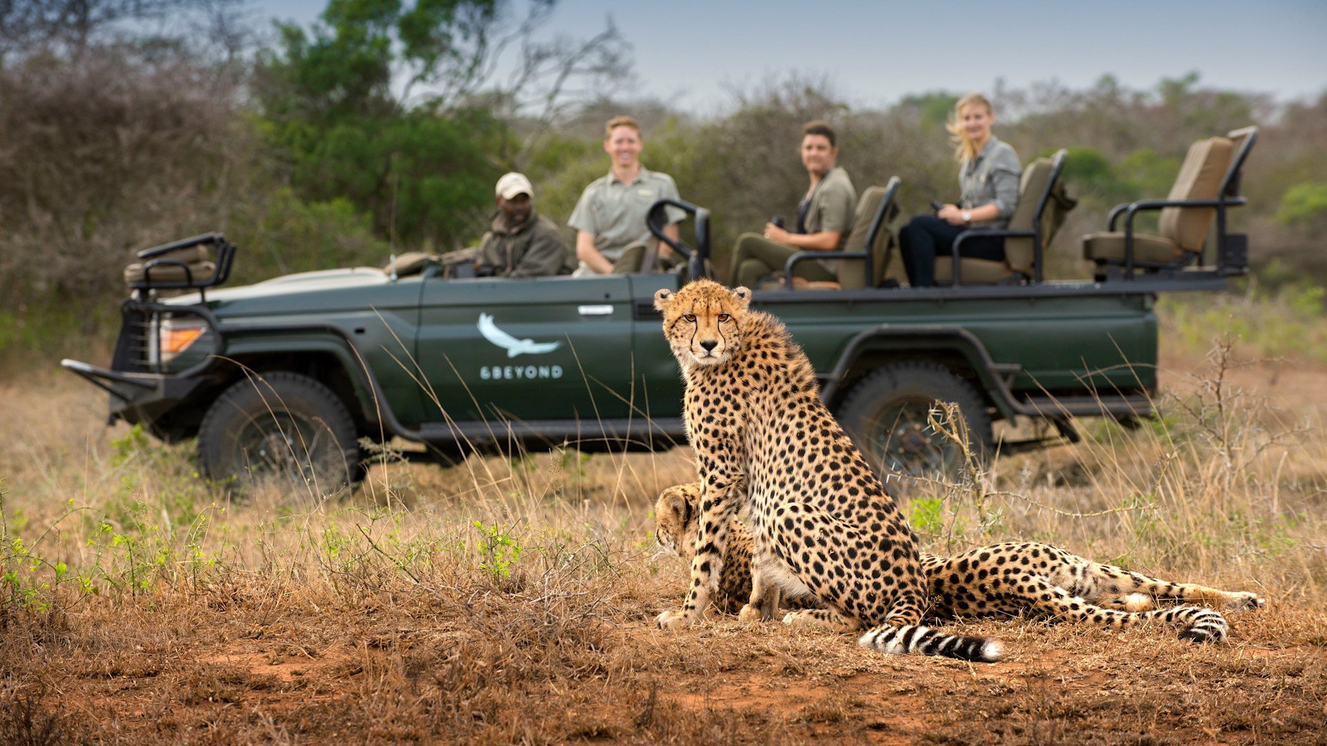 A hot-air balloon drifting over the African plains at sunrise — a bucket-list safari experience