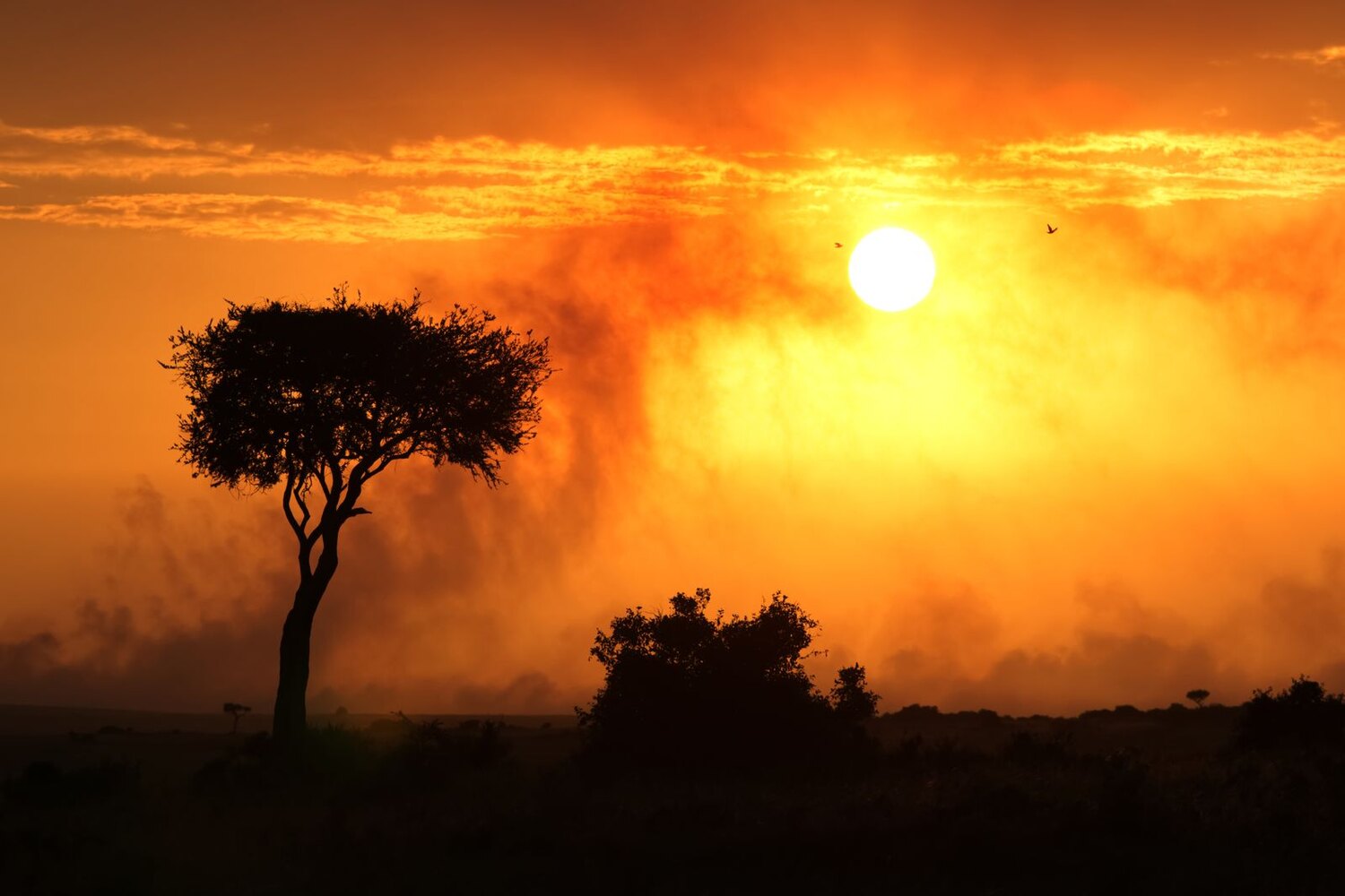 Sunset over the savanna, South Luangwa