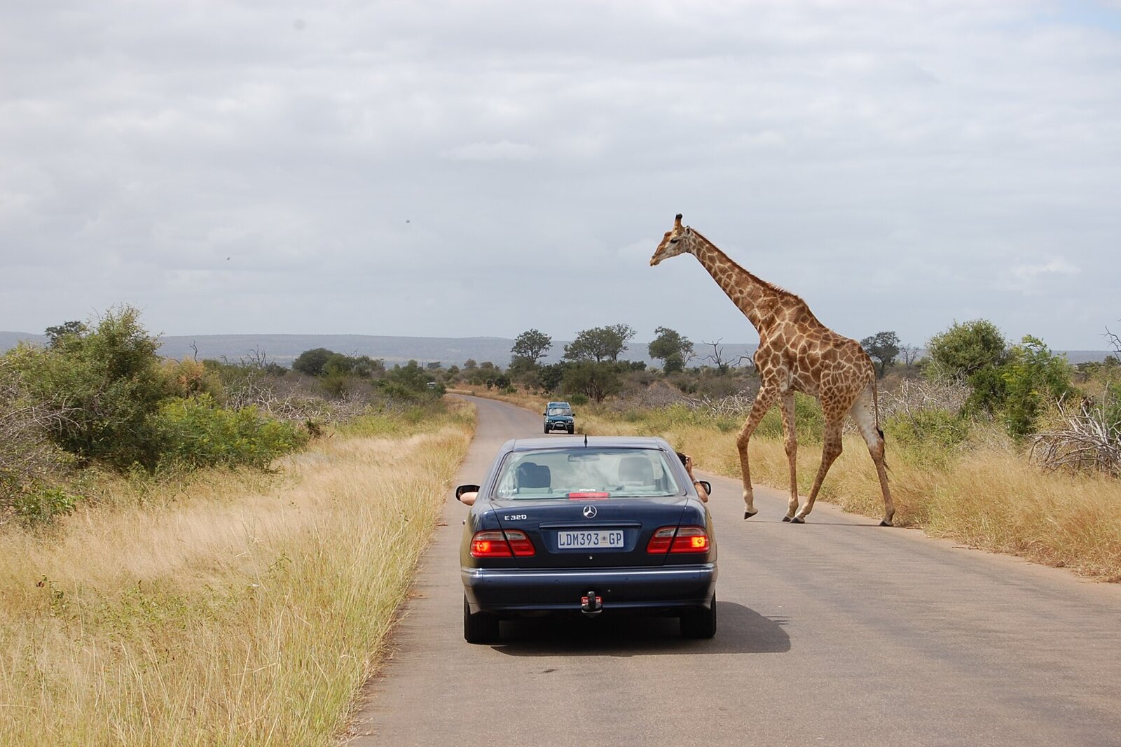 Kruger Self-Drive Safari
