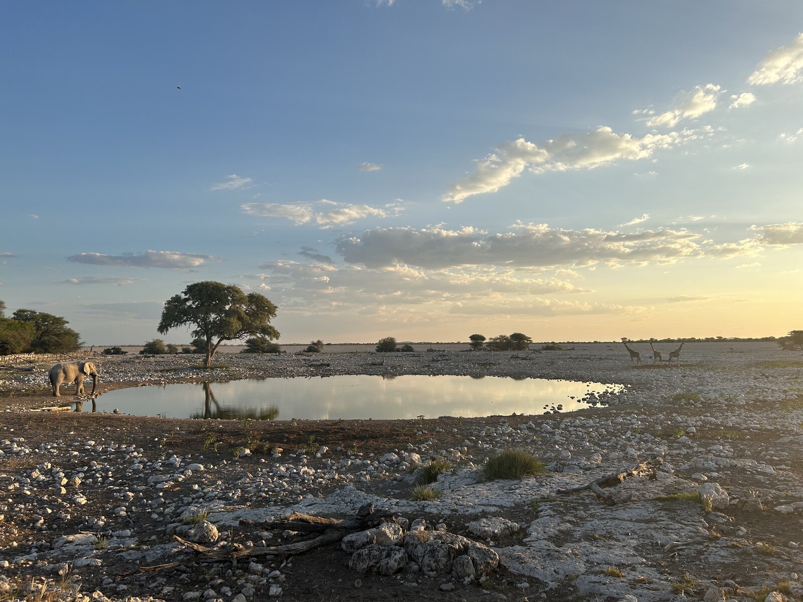 Okaukuejo Rest Camp chalets inside Etosha National Park, Namibia