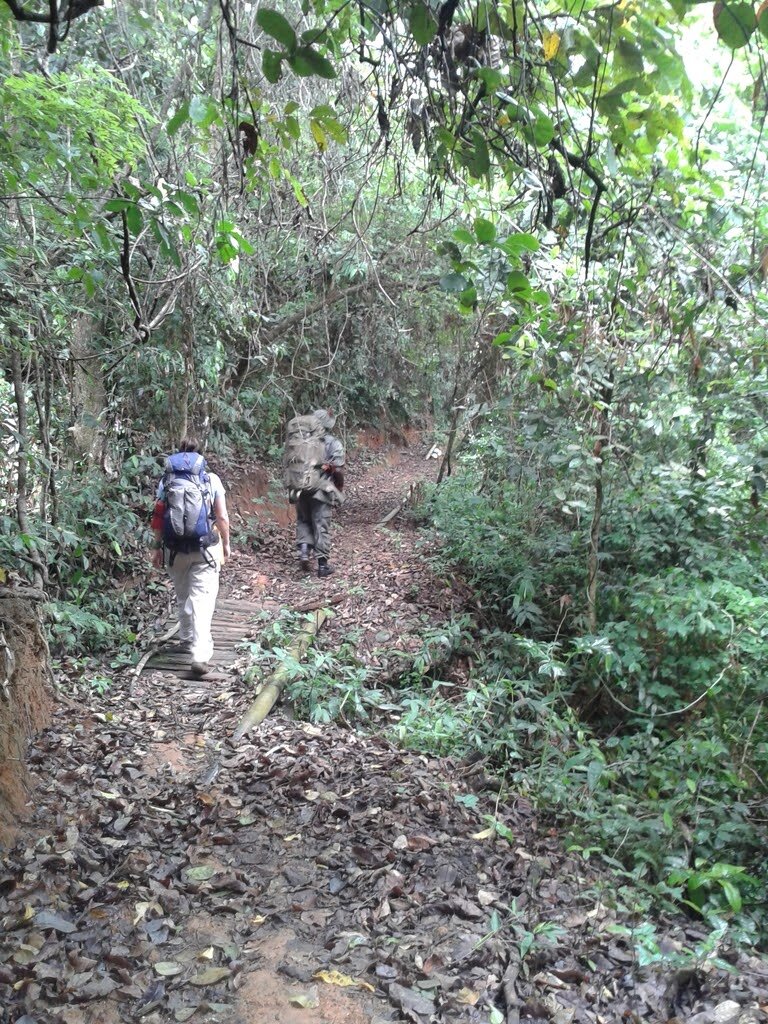 Hidden Valley trail through bamboo forest