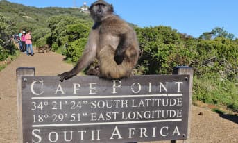 4. 5-Star Small-Group: Cape of Good Hope, Penguins & Bo-Kaap Tour With Pickup